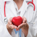 physician holding a toy heart