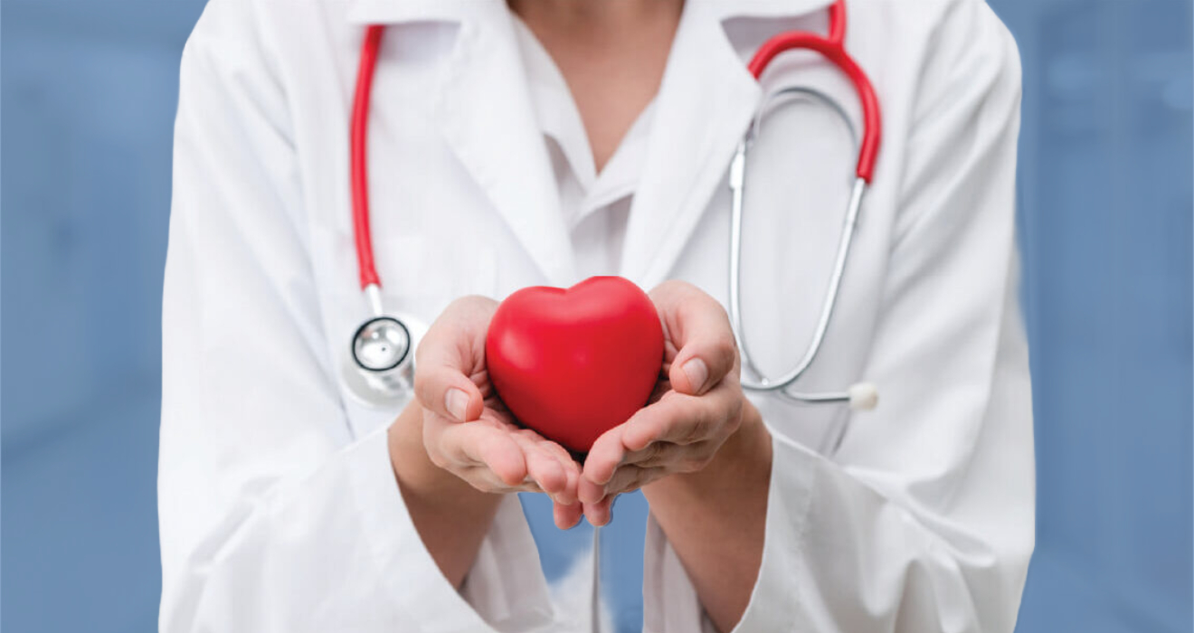 physician holding a toy heart